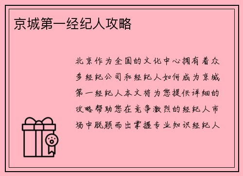 京城第一经纪人攻略